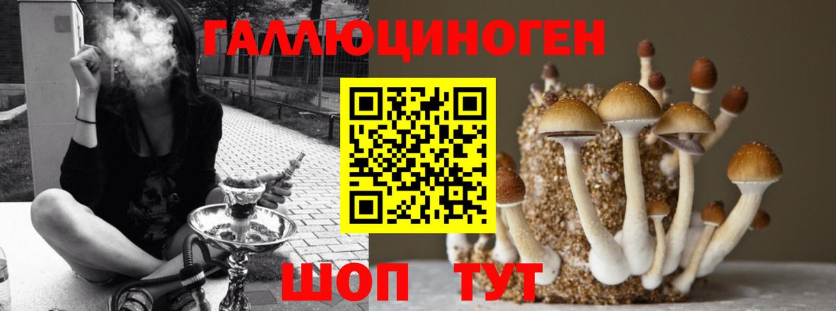 Псилоцибиновые грибы прущие грибы Мичуринск